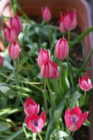 DSC04473-45.jpg