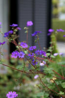 DSC04512-45.jpg