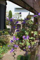 DSC04459-45.jpg