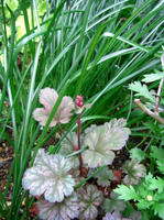 CIMG0811-45.jpg