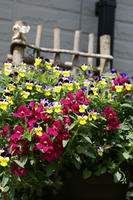 DSC04545-45.jpg