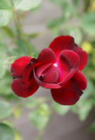 DSC04840-45.jpg