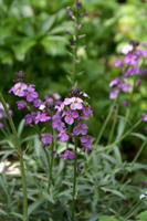 DSC04864-45.jpg