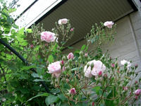 CIMG1205-45.jpg