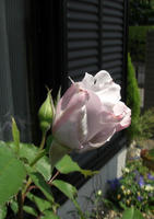 CIMG1235-45.jpg