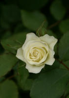 DSC04891-45.jpg