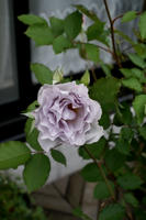 DSC04889-45.jpg