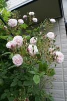 DSC04897-45.jpg