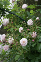 DSC04903-45.jpg