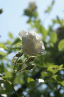 DSC04920-45.jpg