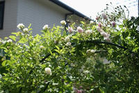 DSC04932-45.jpg