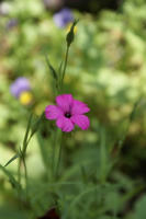 DSC04916-45.jpg