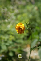 DSC04924-45.jpg