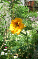 CIMG1268-45.jpg