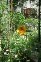 CIMG1269-45.jpg