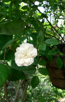 CIMG1280-45.jpg