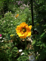 CIMG1298-45.jpg