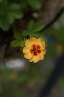 DSC04957-455.JPG