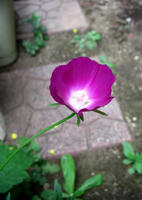 CIMG1871-45.jpg