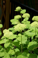DSC04968-45.jpg