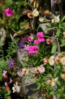 DSC04990-45.jpg