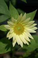 DSC05014-1.JPG