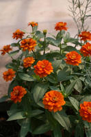 DSC05081-1.JPG