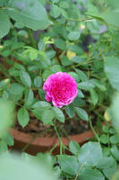 DSC05845-20.jpg