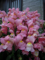 064-20.jpg