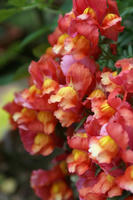 DSC05869-20.jpg