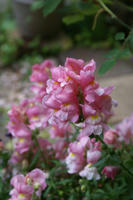 DSC05870-20.jpg