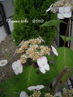 057-15.jpg