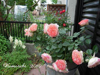 024-15.jpg