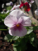 055-15.jpg