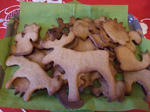 DSCF5137.jpg