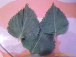 7e12ee02.jpg