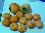 IMAGE_00167.jpg