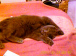 IMAGE_00234.jpg