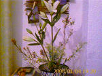 IMAGE_00448.jpg