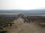 4801bafa.jpg