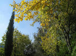 75d37129.jpg