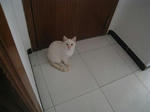 09512fd6.jpg