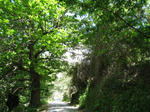 78211f45.jpg