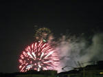 8f450b74.jpg