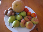 3733d0c0.jpg