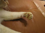 9cb12380.jpg