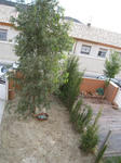 3bdcd54d.jpg