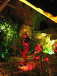 03943801.jpg