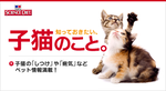 子猫のこと。