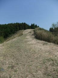 DSCF2190.jpg